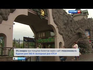 video московский зоопарк предлагает скидки на электронные билеты sex