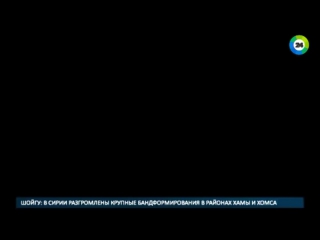 video террорист из ниццы притворился продавцом мороженого sex