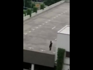 video мюнхенский стрелок перед расстрелом людей в тц кричал что он немец sex