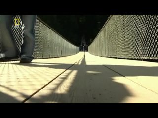 video national geographic с точки зрения науки что такое сексуальность sex
