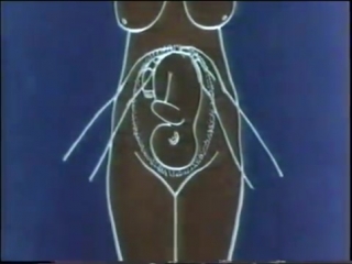 video методы исследования беременной в третьем триместре sex