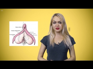 video клитор топ 10 фактов о клиторе которые ты точно не знал стимуляция оргазм sex