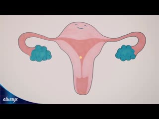 video sll как подготовить дочку к первым месячным sex