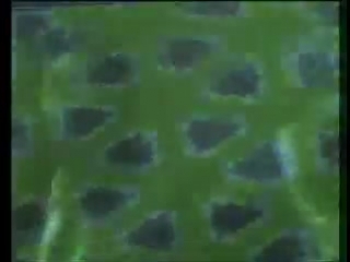 video bad boys blue lady in black череповец май 2007 шоу посвящённое местному радио трансмит sex