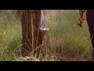 video настоящая девчонка une vraie jeune fille 1976 sex