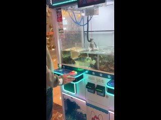 video посмотрите как креативно продают лобстеров в азии sex