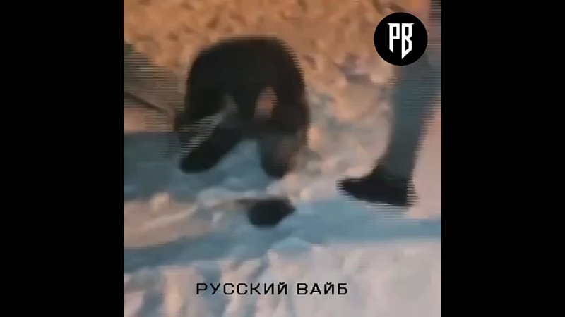 video полиция поймала спортиков которые издевались над закладчиками sex