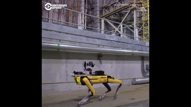 video робо пса boston dynamics отправили в чернобыль sex