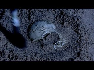 video как искусство сотворило мир серия 1 более человеческое чем сам человек more human than human sex
