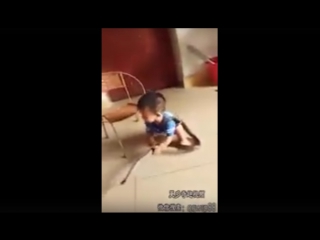 video маленький мальчик из китая беспечно играет со змеёй sex