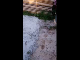 video seks mov 0460 mp4 sex