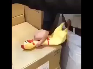 video ненормальный мужчина трахает курицу или секс с цыпочкой sex