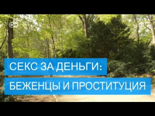 video секс за деньги беженцы и проституция sex
