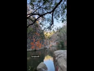 video sadhus and guru in ashram mp4 sex