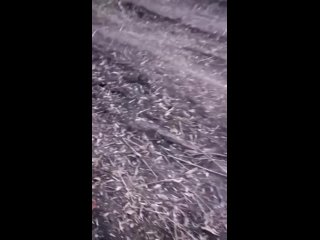 video хлопцы изрядно матерясь публикуют кадры своей сгоревшей бмп как сообщают в окрестностях артёмовска от боевой sex