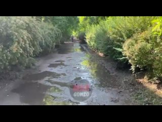 video видеоуровень воды упал на 6 7м в новой кахое за сутки уровень воды в новой кахое стал заметно меньше команда sex