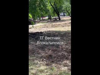 video территорию парка кованных фигур приводят в порядок вестник апокалипсиса t medonbassinfograd sex