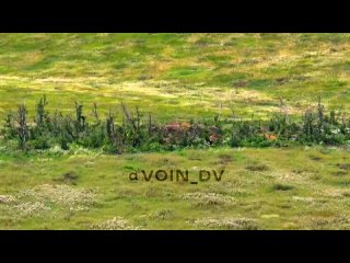 video реалии украинского контрнаступления основное занятие всушников на угледарском направлении оборудование уютных sex