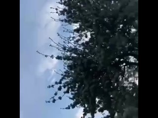 video также ракетные удары были нанесены по объектам украинской военной и критичной инфраструктуры в харьковской sex