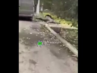 video 18 украинская сторона подтвердила гибель 28 военнослужащих 128 й штурмовой бригады в запорожье в результате удара sex