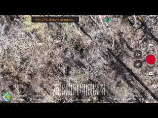 video несмотря на хорошую маскироу позиций враг был обнаружен массированными сбросами молодые данную огневую позицию sex