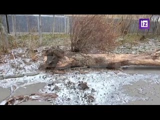 video шторм на юге россии в крыму краснодарском крае и других регионах бушует стихия мощнейший циклон обрушился на sex