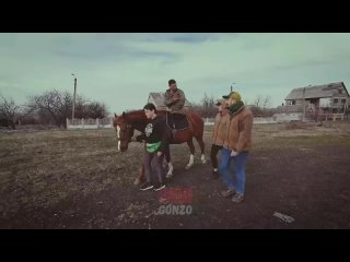 video как конь может поменять взгляд на мир и на жизнь реабилитация раненых бойцов в особенности тех кто потерял sex