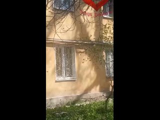 video агс на линии огня ещё последствия вчерашнего обстрела будённовского района донецка подписаться предложить новость sex