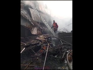 video знаменитый овощной рынок рамаллы сгорел после того как он загорелся от гранат со слезоточивым газом сообщается sex