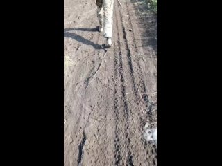 video западнее авдееи подразделение 810 бригады морпехов ныне действующих в курской области делится архивными кадрами с sex