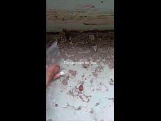 video подразделение всу сдалось в волчанске ожесточённые бои в городе в харьковской области продолжаются t mervvoenkor t sex