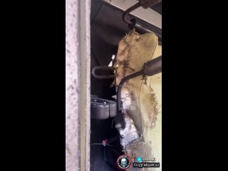 video раненый боец всу демонстрирует результат прилета fpv дрона по его бронемашине север v сво противник бригада север v sex