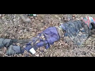 video очередное военное преступление всушников расстрелянная машина с мирным жителем и убитый мотоциклист на останое на sex