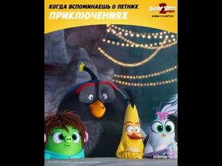video angry birds 2 в кино когда вспоминаешь о летних приключениях sex