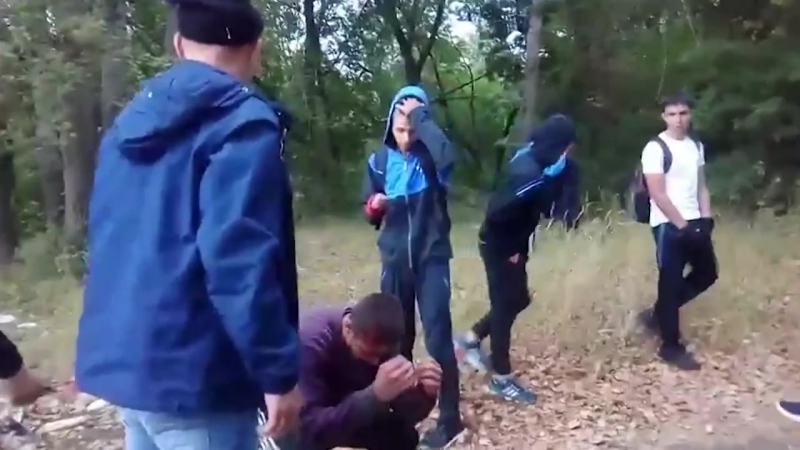 video новые подробности в деле о зверском избиении молодые в салавате sex