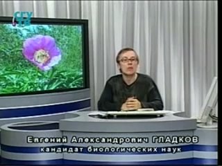 video природные лекарства фитотерапия часть 2 урок 2 лекарственные растения влияющие на нервную систему sex