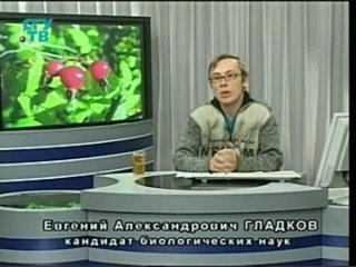 video природные лекарства фитотерапия часть 3 урок 10 лекарственные растения обладающие противовоспалительными и sex