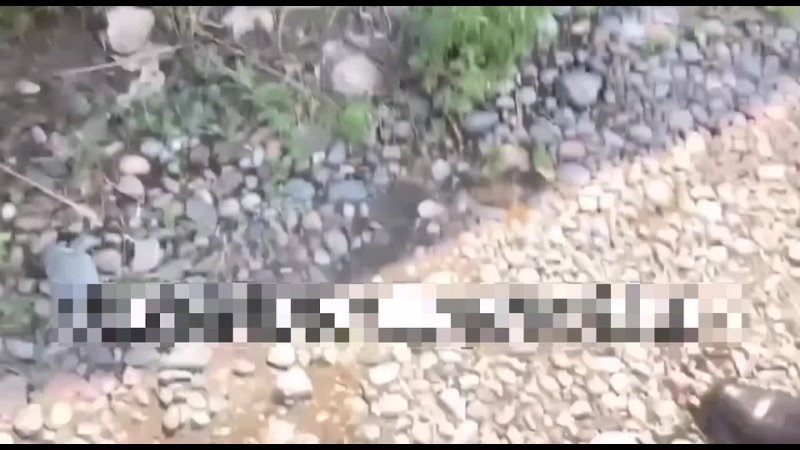 video взглянув на это видео вы узнаете как мерзко работает российский блогер sex