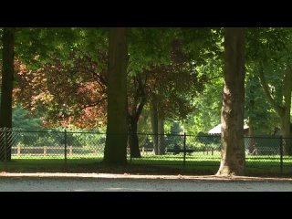 video трахает в лесу у дерева эротика секс любовь страсть 2013 хентай xxx сиськи трах кискиспящие красавицыулёт см sex