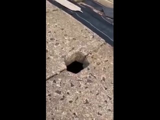 video застрявшая киска sex