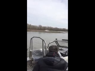 video видео от по досааф рф спасатель медик sex