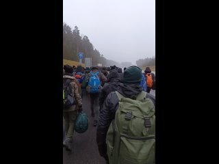 video колонна мигрантов идет к белорусско польской границе 14 ноября 2021 sex