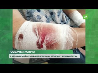video собачья услуга в челябинской ветклинике доберман разодрал женщине руку sex