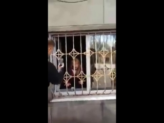 video кааз без молодые жесть как она есть ноябрь 2015 г sex