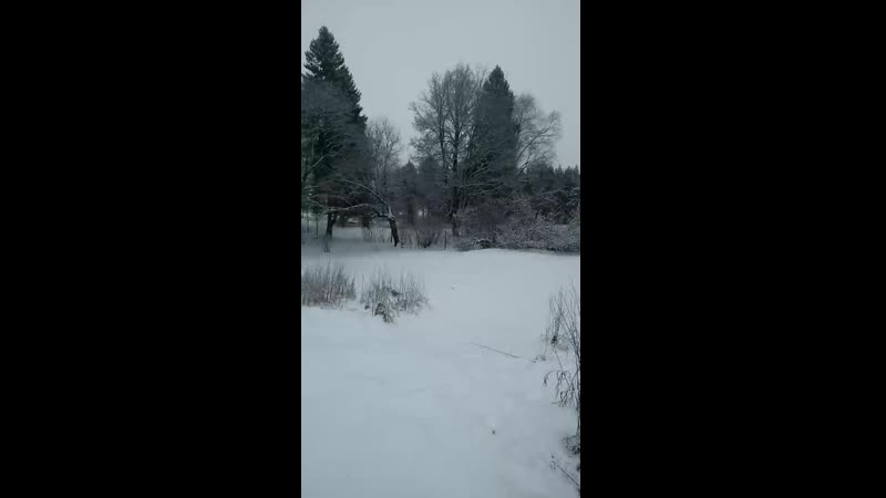 video brzedb vid 20200201 090701 mp4 sex
