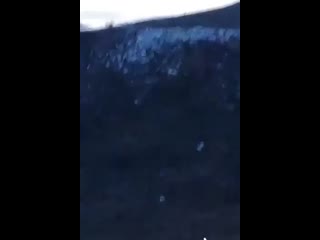 video армяне подняли белый флаг и сдаются в плен азербайджанцам в карабахе sex