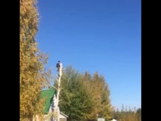 video спиливание удаление деревьев кустарника расчистка участков покос травы и вывоз любой сложности 8 920 211 76 22 sex