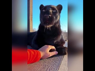 video мое состояние в конце рабочего дня sex