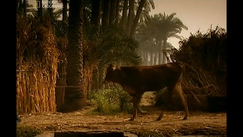 video с точки зрения науки эпоха таяния ледников ice age meltdown sex