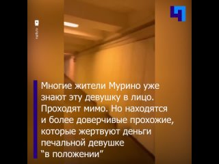 video вечно беременная девушка регулярно просившая милостыню в мурино ударила пенсионерку sex